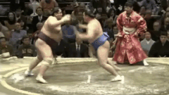 Miyabiyama Tetsushi | Sumowrestling Wiki | Fandom