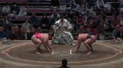 Shimanoumi Koyo | Sumowrestling Wiki | Fandom