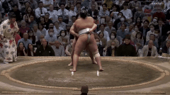 Wakamotoharu's Fighting Style 2