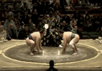 Wakatenro's Fighting Style