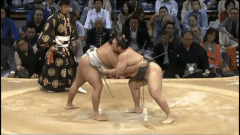 Arawashi Fighting Style