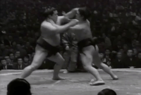 Fujinokawa2's Fighting Style