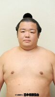 Higonojo Masakazu - 2013 (Retrieved from the JSA)