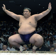 Sadanofuji9