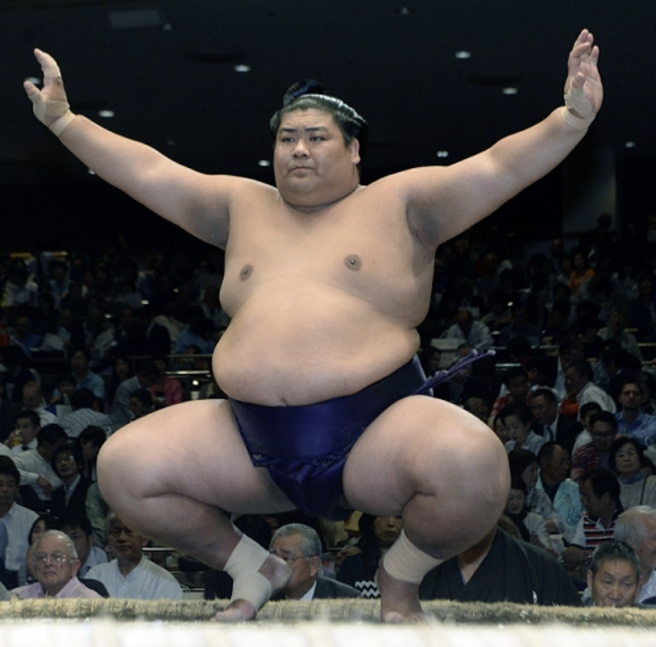 Sell me on one of your favorite rikishi : r/Sumo