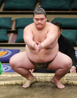 Shotaimu prepares for his upcoming match (c. 2024)