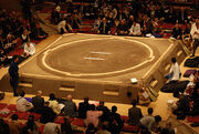 A sumo dohyo