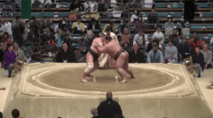 Takaryu's Fighting Style