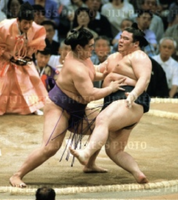 Tochinohana pushes out and defeats Tamakasuga (c. 2001)