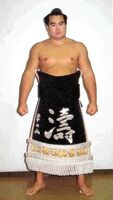 Tsunenoyama with his kesho-mawashi (c. 1992)