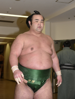 Wakanoshima after wrestling a match (c. 2017)