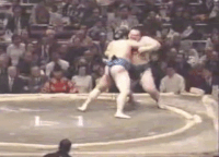 Kasuganishiki's Fighting Style