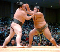 Wakarikido defeats Minanosato to win the Jonidan Yusho (c. 2006)