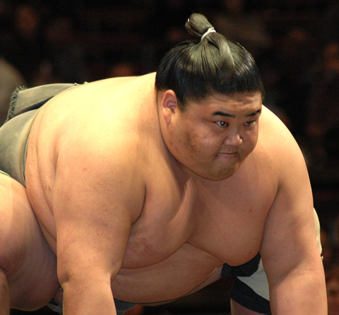 Asahiryu Katsuhiro, Sumowrestling Wiki