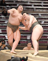 Nihonyanagi wins the Jonokuchi Yusho (c. 2020)