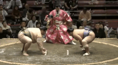 Chiyoarashi's Fighting Style 2