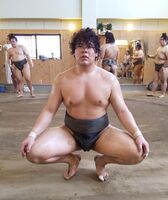 Kirameki trains at Asahiyama stable (c. 2020)