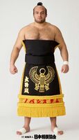 Osunaarashi Kintaro - 2014 (Retrieved from the JSA)