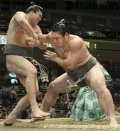 Sasaki loses the Makushita Yusho match (c. 2008)
