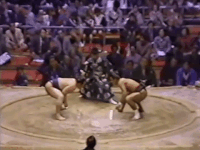 Suiryu's Fighting Style