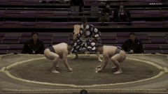 Asakishin's Fighting Style 2