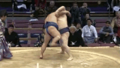 Takamisakari's Fighting Style