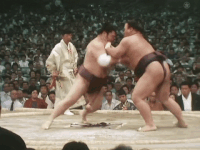 Banryuyama's Fighting Style 2