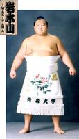 Iwakiyama Ryuta - 2003 (Retrieved from the JSA)