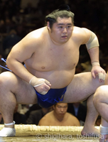 Tamanokuni prepares for his upcoming match (c. 2001)