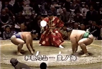 Toyonoumi's Fighting Style