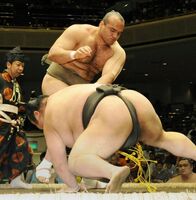 Higoarashi battles Osunaarashi (c. 2013)