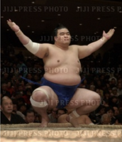 Tamakasuga prepares for his upcoming match (c. 2005)