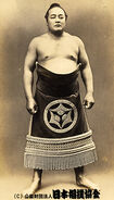 Toyokuni Fukuma - (Retrieved from the Nihon Sumo Kyokai)