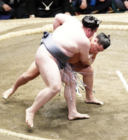 Kinbozan loses the Yusho playoff to Hoshoryu (c. 2025)