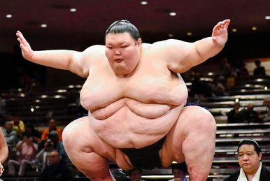 Sumo wrestler weight outlet