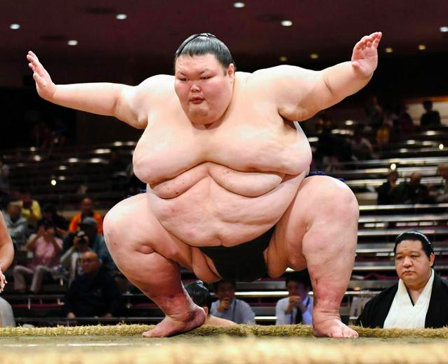 Årvågenhed Konvention her List of Heaviest Sumo Wrestlers | Sumowrestling Wiki | Fandom