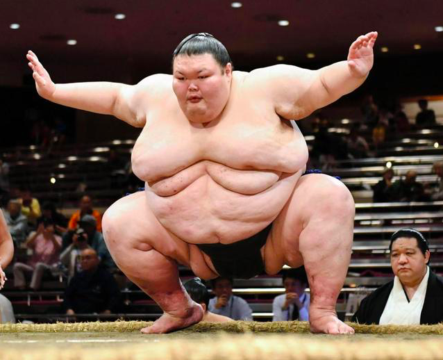 Sumo, Wiki