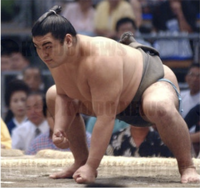 Tamaasuka during his time in the unsalaried ranks (c. 2002)