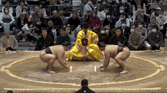 Asanoyama's Fighting Style 2