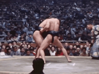 Daio's Fighting Style