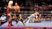 TenryuWWF1993