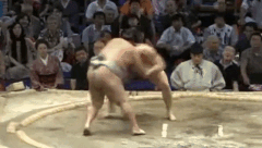 Hamanishiki's Fighting Style