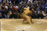 Hananoumi's Fighting Style