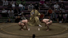 Hikarifuji's Fighting Style 2