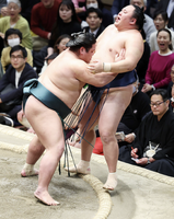 Nishikigi defeats Tamawashi (c. 2024)