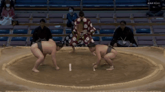 Mudoho's Fighting Style