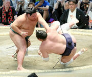NishikigiTerunofuji