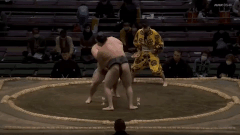 Arauma's Fighting Style