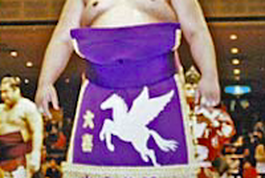Sumo Wrestling, Yamamotoyama Ryūta a.k.a. Yama. He is the h…