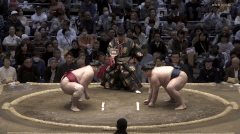 Oho's Fighting Style 2